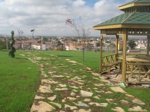 Altınekin Marka Tescili