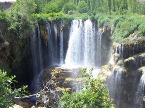 Derebucak Marka Tescili